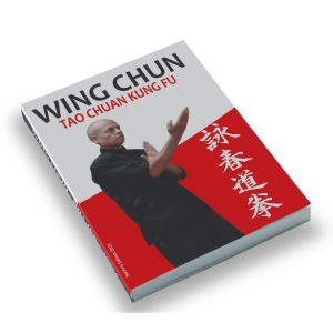 Livro Wing Chun Biu Jee