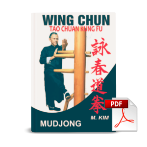 Livro Wing Chun Tao Chuan Mudjong