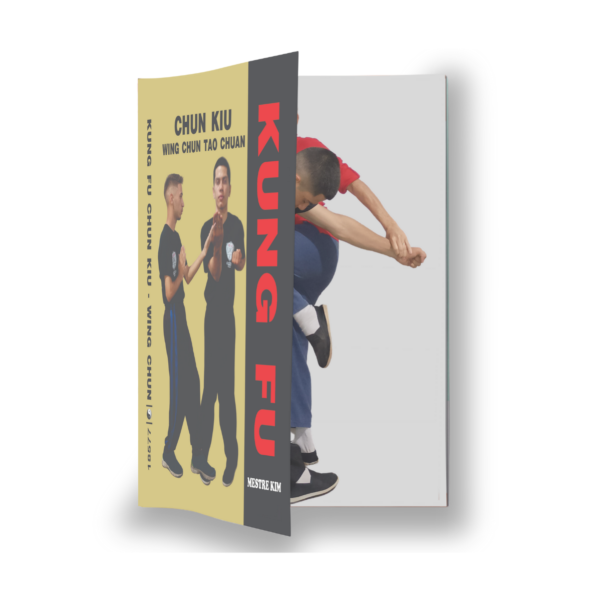 Livro Chun Kiu Wing Chun Tao Chuan - 2ª Forma - 192 fotos - técnica de defesa pessoal - Imagem 3