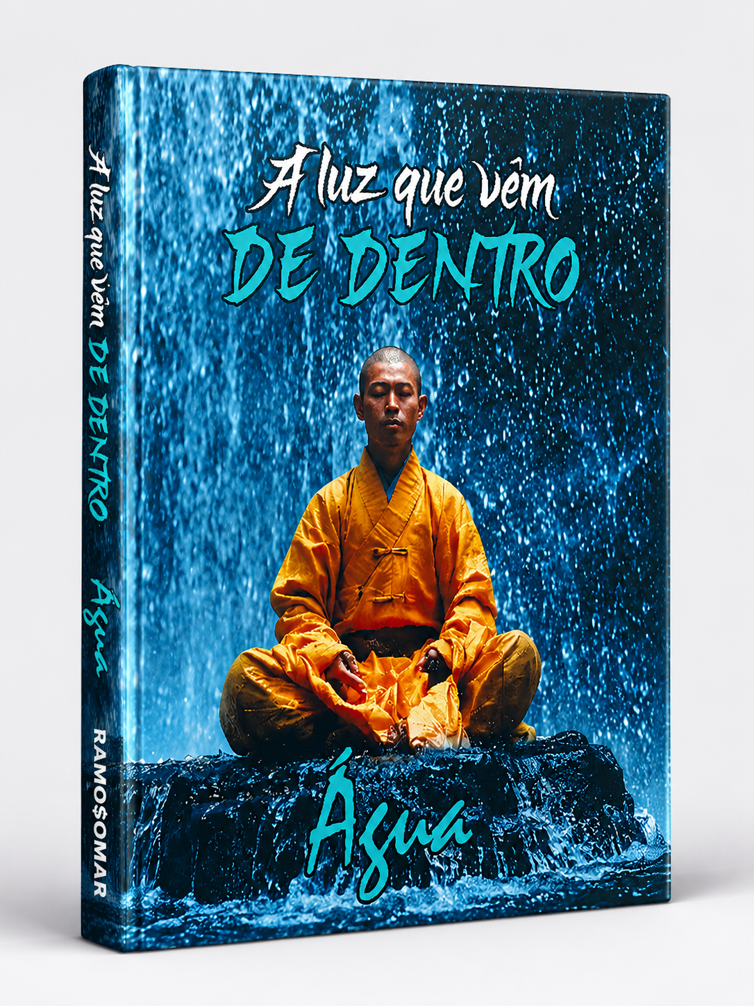 Livro: A Luz que Vêm de Dentro - Água / Sem Aba